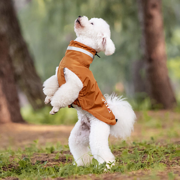 Poncho Impermeable Reflectante para Perros - Protección Total en Lluvia y Viento