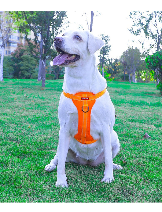 Arnés de Pecho con Cuerda de Tracción para Perros Pequeños, Medianos y Grandes - Image 22