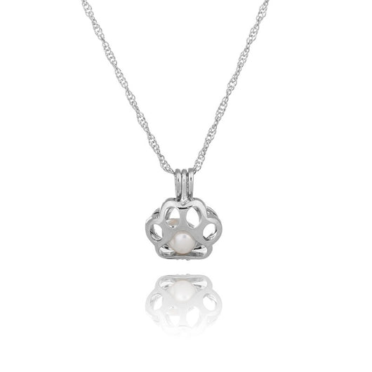 Collar de Perlas de Agua Dulce Serie Oyster Calado - Cadena Clavícula Elegante - Image 41