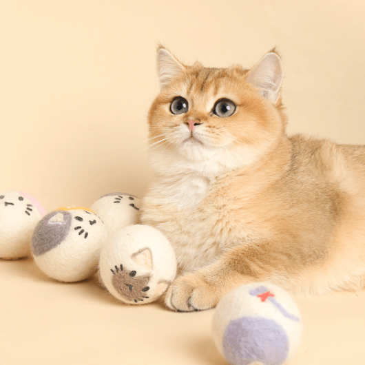Bola Interactiva de Entretenimiento para Gatos - Image 10