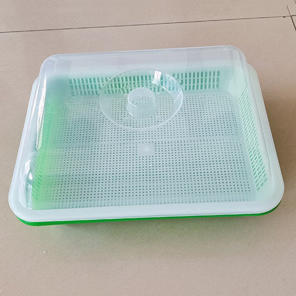 Bandeja Germinadora Hidropónica de Doble Capa para Semillas de Vegetales