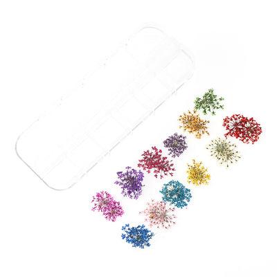 Set de 12 Cajas de Joyas con Flores Secas Naturales - Image 21