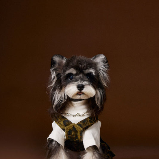 Overol para Perro Estampado Leopardo Otoño