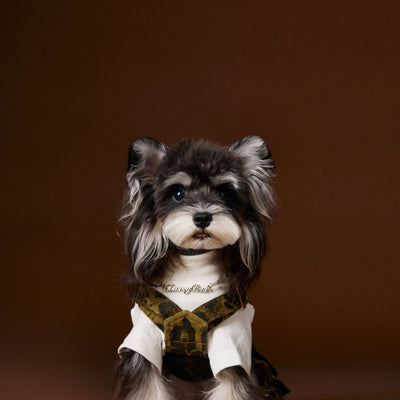 Overol para Perro Estampado Leopardo Otoño