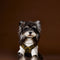 Overol para Perro Estampado Leopardo Otoño