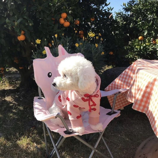 Suéter Cálido para Mascota con Estampado de Amor