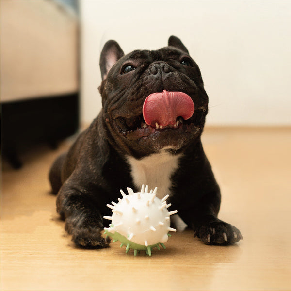 Juguete Vocal Resistente a Mordidas para Perros