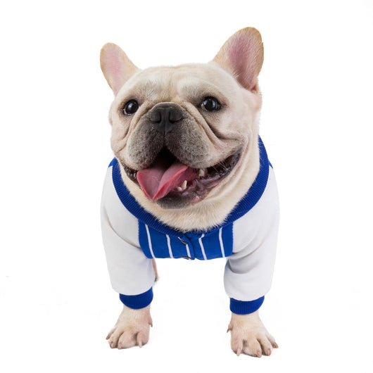 Ropa para Perros Bulldog - Abrigos y Accesorios Cómodos - Image 2
