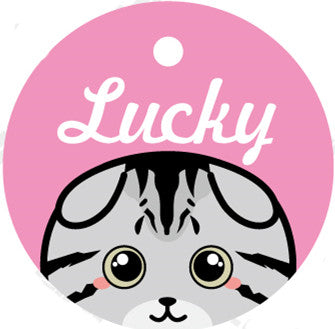 Placa de Identidad Personalizada para Mascotas - Image 4