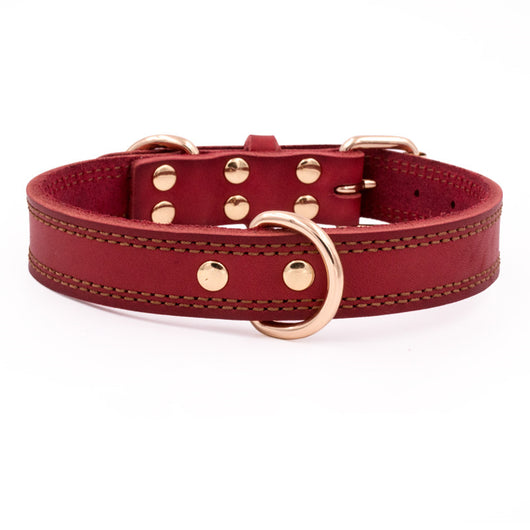 Collar de Cuero Genuino para Perros Medianos y Grandes - Golden Husky