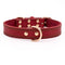 Collar de Cuero Genuino para Perros Medianos y Grandes - Golden Husky