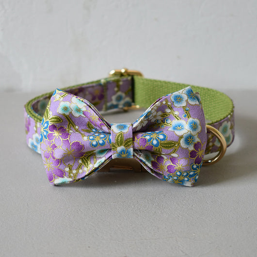Collar Correa Purple Zephyr para Perros - Image 18