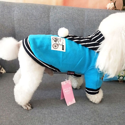 Ropa para Mascotas Primavera Verano - Teddy Adorable - Image 14