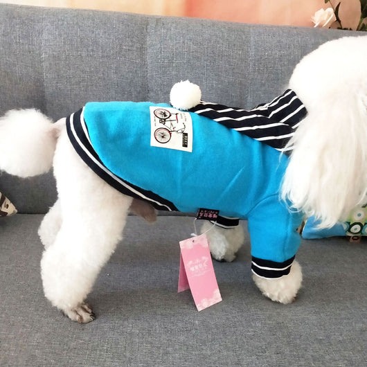 Ropa para Mascotas Primavera Verano - Teddy Adorable - Image 14