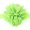 Green Fruit