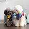 Pañuelo Bandana Térmico para Perros - Collar Cálido para Mascotas Pequeñas