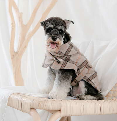 Abrigo Cortaviento para Perros Pequeños - Image 3