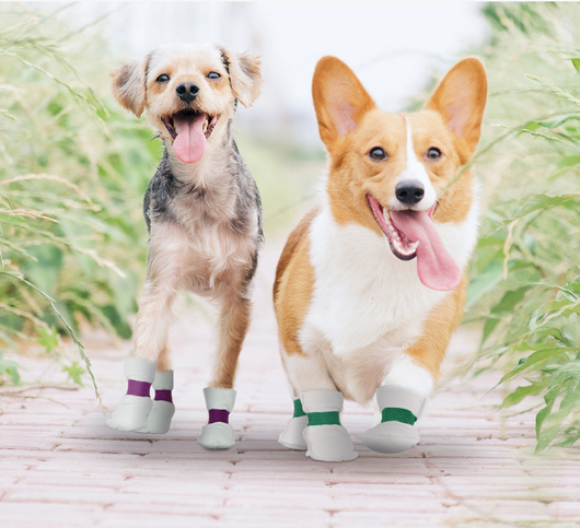 Fundas Protectoras Desechables para Mascotas - Impermeables y Antisuciedad - Image 8