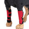 Rojo L Q 1pairs