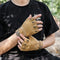 Guantes Deportivos de Protección Antimuchillas con Protector Solar y Respirables