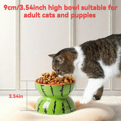 Comedero Elevado de Cerámica para Gatos - Plato Inclinado Antiválvulos para Gatos y Perros Pequeños - Image 12