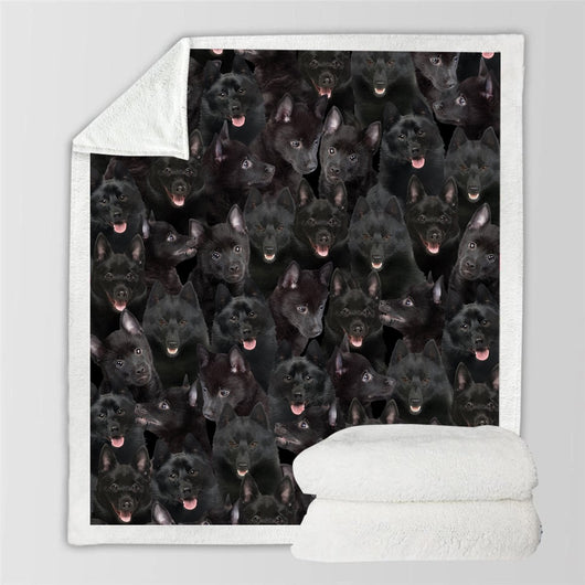 Manta Franela Estampada para Perros - Image 89