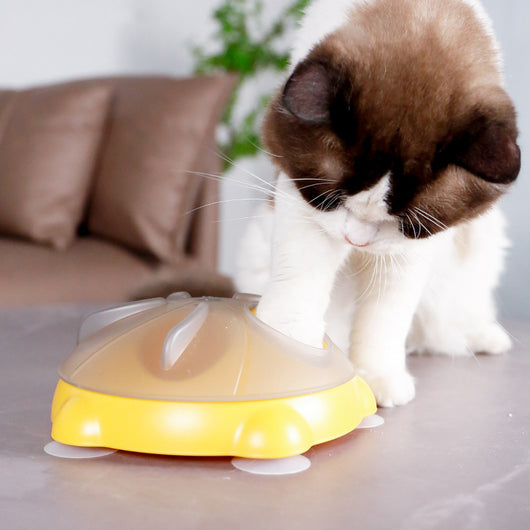 Plato Interactivo para Gatos con Almacenamiento de Snacks y Entretenimiento - Image 4