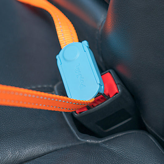 Arnés de Seguridad para Perros Pequeños y Medianos en Auto