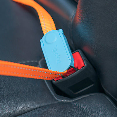 Arnés de Seguridad para Perros Pequeños y Medianos en Auto - Image 6