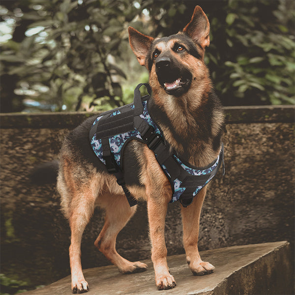 Arnés Táctico de Tracción para Mascotas Grandes - Camuflaje Profesional