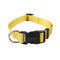 Yellow Individual Pet Collar XS