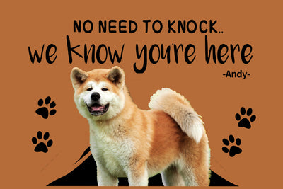 Tapete Personalizado para Gatos y Perros con Nombre - Image 7