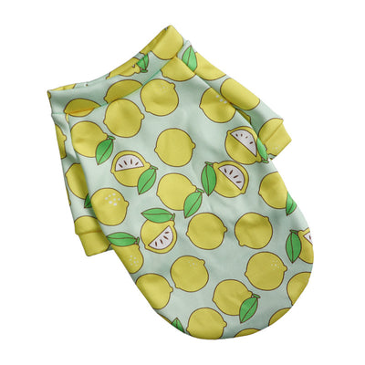 Suéter Floral de Felpa Delgada para Perros - Moda Canina Elegante - Image 10