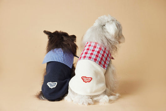 Chaleco Marinero sin Mangas para Mascotas - Schnauzer, Bichón, Yorkshire y Salchicha - Image 9
