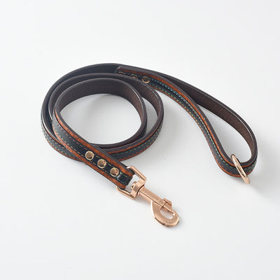 Correa y Collar para Perro - Sistema de Control Seguro - Image 20