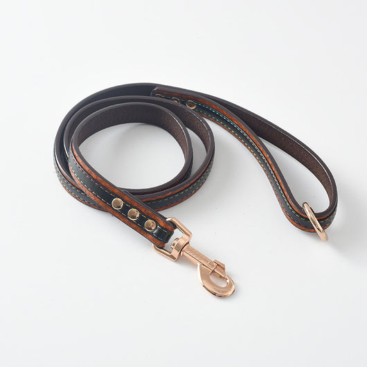 Correa y Collar para Perro - Sistema de Control Seguro - Image 20