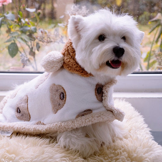Manta Térmica Premium para Perros - Abrigo Cálido y Confortable - Image 11