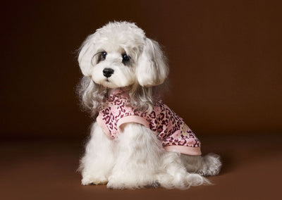 Suéter Tipo Hoodie sin Mangas Estampado Leopardo para Perros Bichon Schnauzer Yorkshire - Image 15