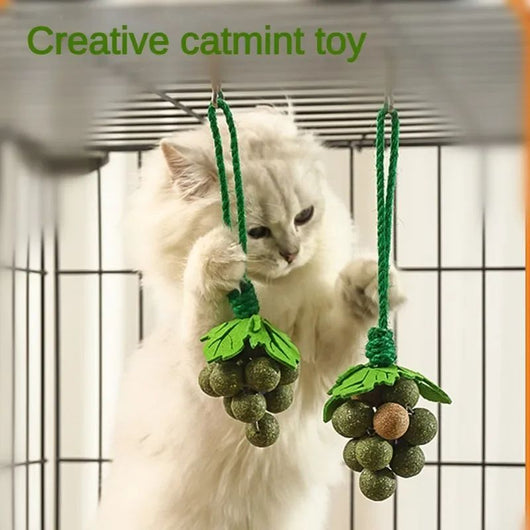 Juguetes Interactivos para Gatos con Hierba Gatera, Palitos Masticables Resistentes - Image 2