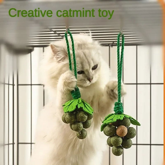 Juguetes Interactivos para Gatos con Hierba Gatera, Palitos Masticables Resistentes