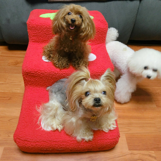 Escalera de Terciopelo para Mascotas - Escalones Suaves para Perros - Image 6