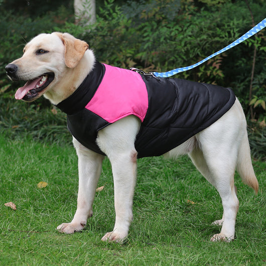 Abrigo Impermeable Acolchado para Perros - Chaleco Térmico con Cierre de Cremallera - Image 16