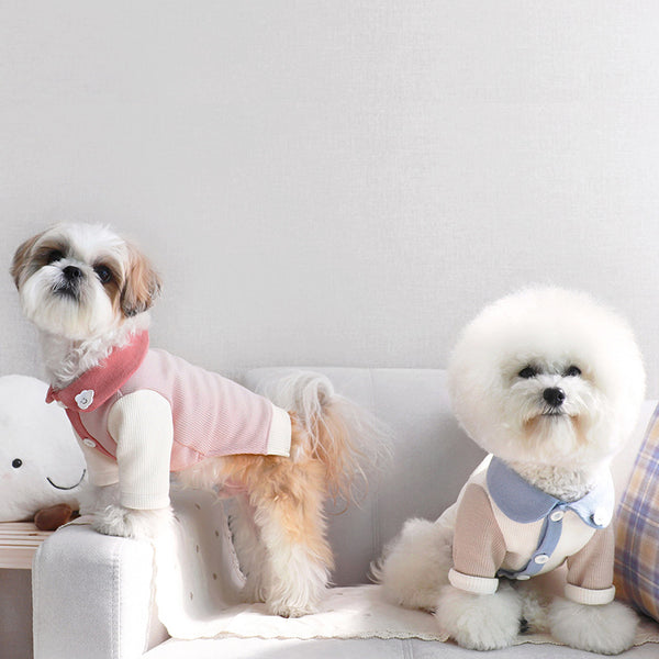 Disfraz para Cachorro Yorkshire con Diseño Acanalado