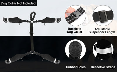 Botas Protectoras para Perros - Impermeables y Térmicas para Clima Frío - Image 16