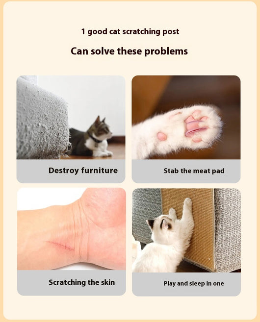 Rascador Arcoíris para Gatos - Tablero Resistente al Desgaste - Image 11