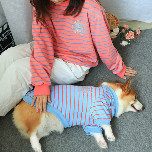 Suéter para Perros y Dueños - Conjunto a Juego Padre e Hijo - Image 12