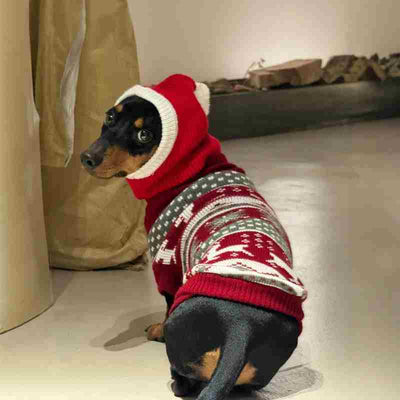Gorro Cálido de Peluche con Forma de Perro Salchicha para Navidad - Image 5