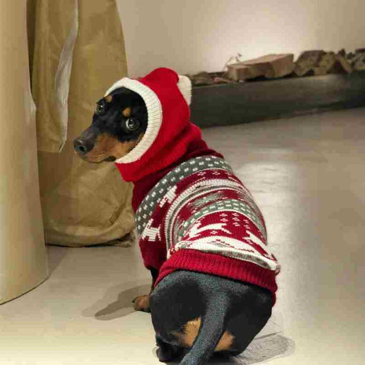 Gorro Cálido de Peluche con Forma de Perro Salchicha para Navidad - Image 5