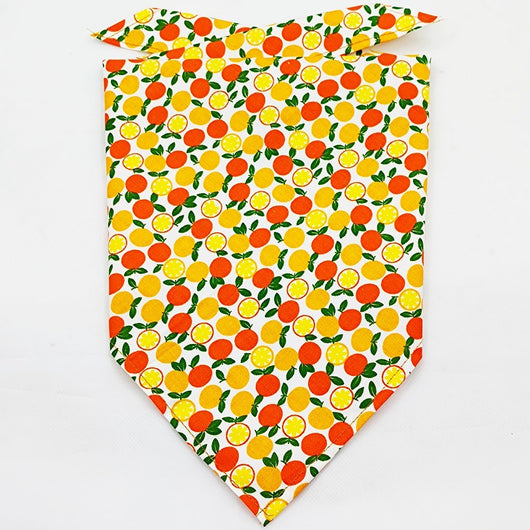 Pañuelo Bandana Absorbente para Mascotas con Diseño Frutal - Image 14