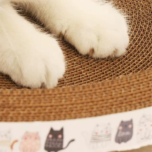 Cama Rascador Ovalado 2 en 1 para Gatos - Nido Acogedor con Cartón Corrugado - Image 18
